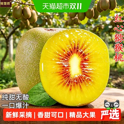 四川蒲江红心猕猴桃新鲜采摘