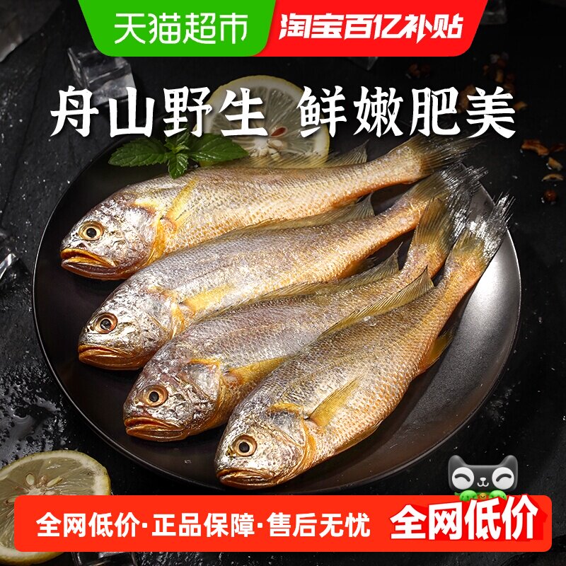 遇上鲜舟山小黄鱼深海体肥肉嫩
