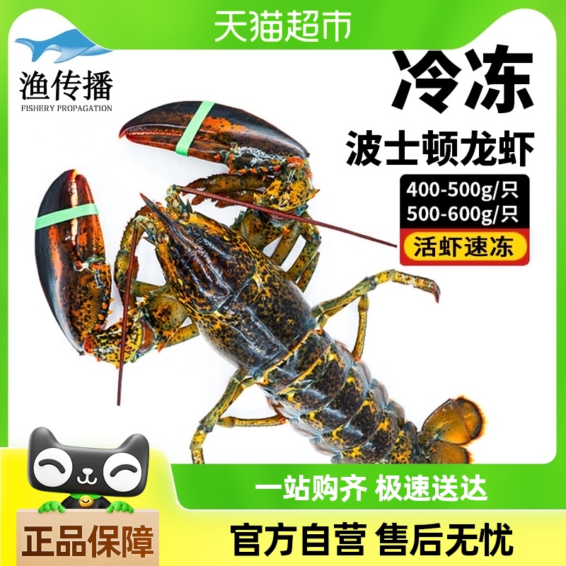 洫Ϻٶ䶳ôʿϺϺʺʶϺ99.75Ԫ(88VIP 95)