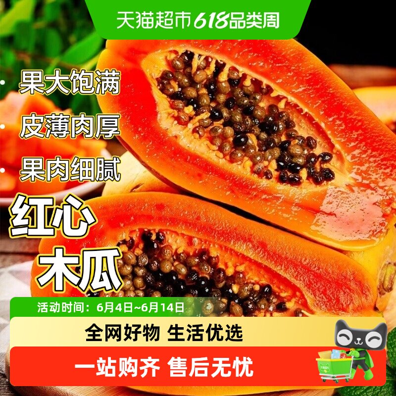 海南红心牛奶木瓜当季现摘下奶新鲜水果整箱树上熟