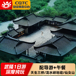 重庆旅游武隆纯玩天生三桥天坑地缝一日游大团跟团游含门票头等舱