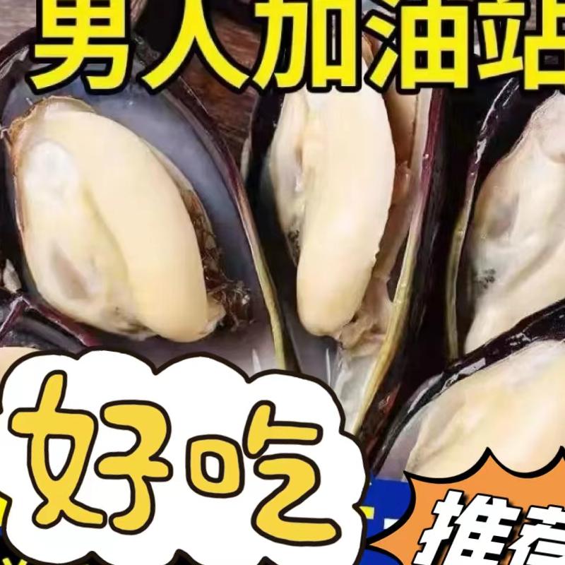 青口贝鲜活海虹淡菜新鲜冷冻海鲜贻贝青口贝海鲜水产
