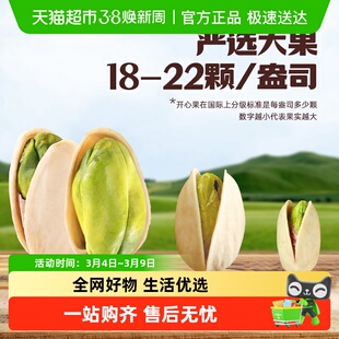 薛记炒货开心果淡盐开心果大颗粒原色无漂白