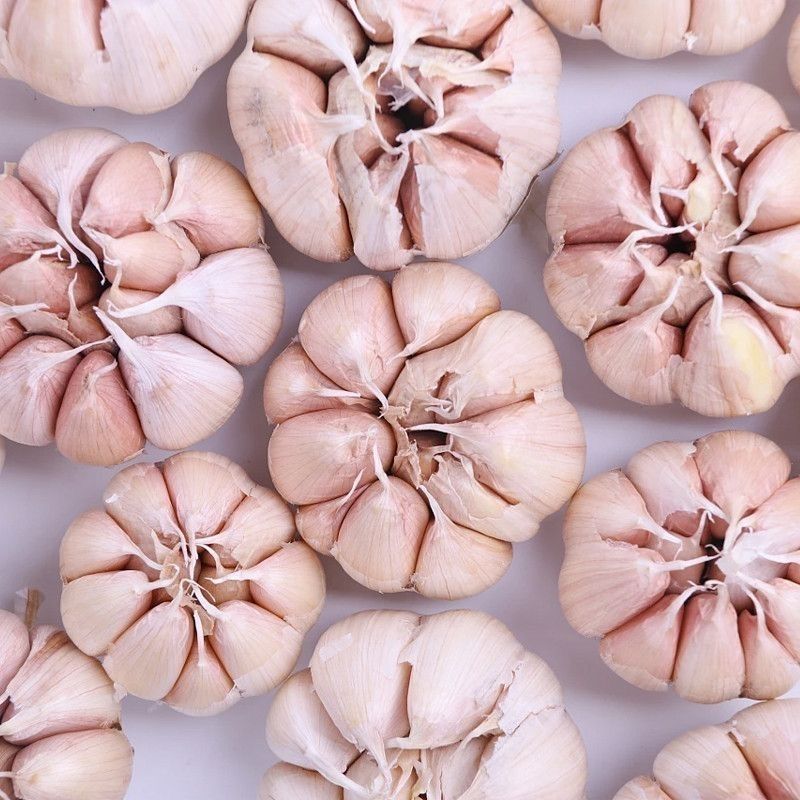 2025新农家干大蒜头紫白皮可自制腊八蒜绿蒜3/5/9斤