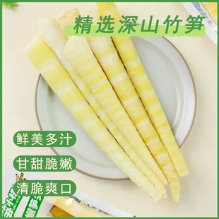 农家小竹笋鲜道新鲜笋尖野竹笋清水嫩笋火锅串串配菜冒菜食材批发