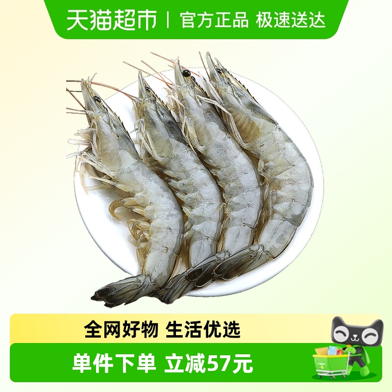 北海湾新鲜4050白虾海虾