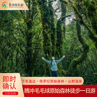 腾冲高黎贡山毛毛球原始森林徒步一日游 3km-9km多线路任选野温泉