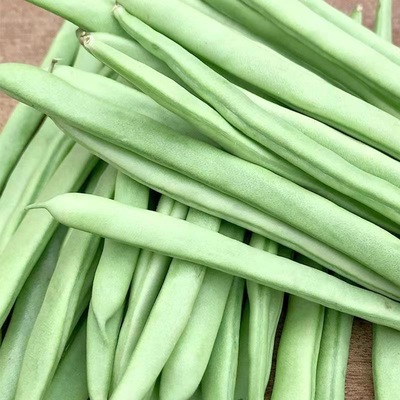 云南新鲜现摘农家四季豆批发筋豆整箱蔬菜芸豆扁豆刀豆应季豆角