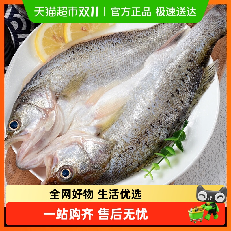 海鲈鱼开背新鲜冷冻深海
