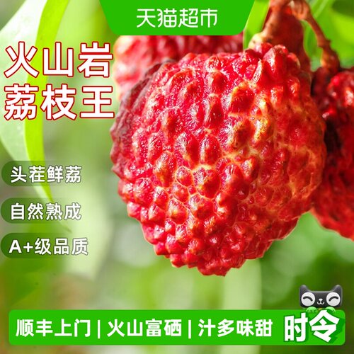 火山岩荔枝王巨无霸荔枝
