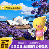 一年 澳大利亚·访客600签证 飞猪官方直营 一年多次·移民局网站· 三年多次澳洲签证个人旅游全国 旅游