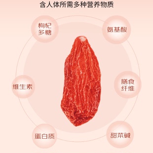 不熏硫甘肃靖远头茬枸杞大果自然晾晒