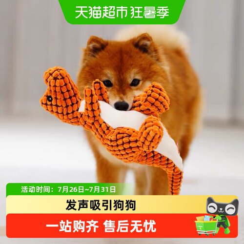 华元宠具狗玩具耐咬磨牙解闷柯基
