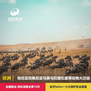 暑假动物大迁徙非洲肯尼亚坦桑尼亚旅游马赛马拉塞伦盖蒂16天跟团