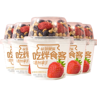 搅拌酸奶谷物酸奶杯牛奶整箱营养早餐网红代餐饮品草莓菠萝蜜