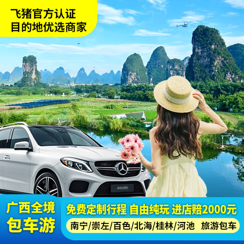 南宁崇左河池百色北海包车