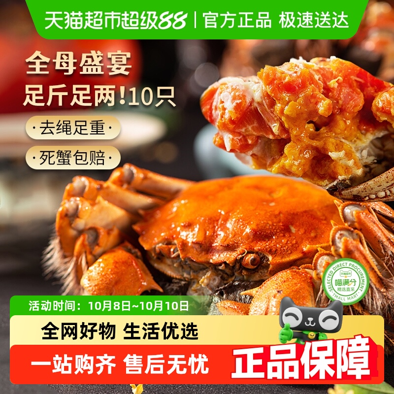 江苏鲜活全母大闸蟹