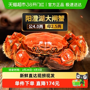 湖东蟹阳澄湖大闸蟹特大鲜活螃蟹现货海鲜礼盒公4.0母2.5两*8只装
