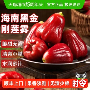 顺丰上门海南黑金刚莲雾爆甜应当季现摘新鲜特大果