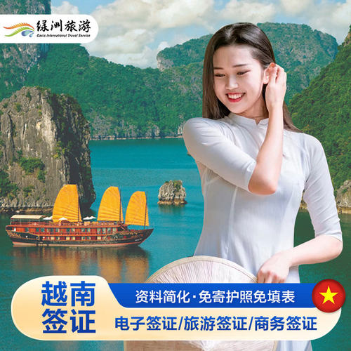 越南90天单次电子签
