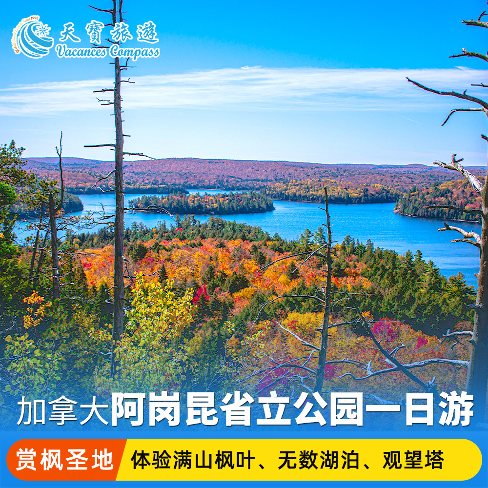 阿岗昆赏枫一日游