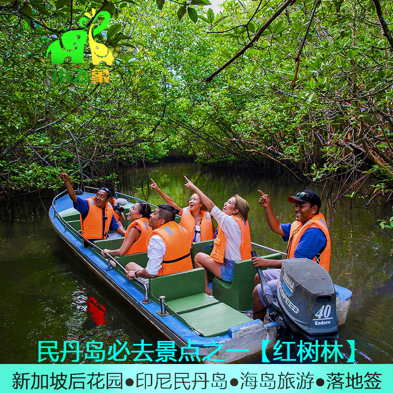 新加坡民丹岛红树林萤火虫旅游活动海鲜餐接送中文讲解黄金沙丘