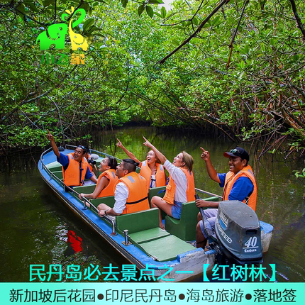 新加坡民丹岛红树林萤火虫旅游活动海鲜餐接送中文讲解黄金沙丘