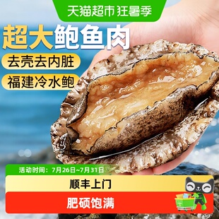 顺丰上门鲍鱼肉鲜活冷冻特大鲍鱼福建新鲜小鲍鱼去壳纯肉海鲜水产
