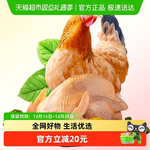 大用新鲜现杀跑山鸡整只三黄鸡