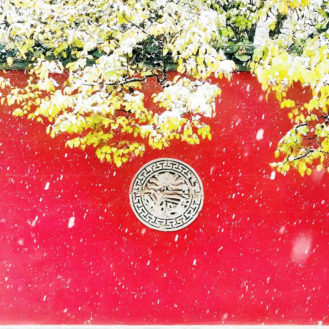 塔尔寺一日游纯玩小团