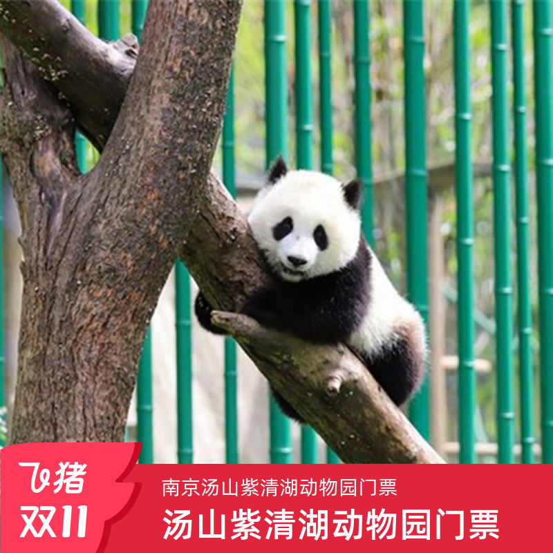 [紫清湖野生动物世界-大门票（赠森林小火车+大马戏）]南京汤山紫清湖野生动物园王国