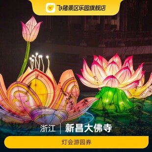 [新昌大佛寺-灯会游园]