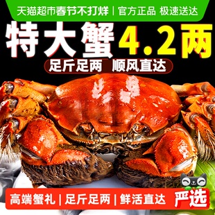 I活蟹I仲秋大闸蟹鲜活现货全母公螃蟹礼盒湖鲜河蟹去绳净重