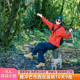 【6人小团】芒市腾冲西双版纳10日丨高黎贡山徒步野象谷版纳住5钻