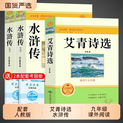 水浒传九年级必读正版完整版