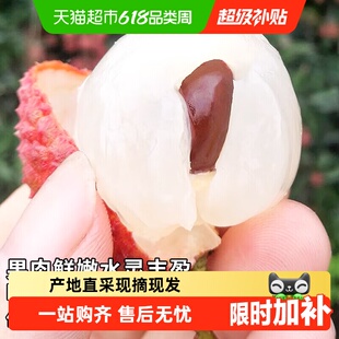 广东白糖罂荔枝新鲜水果当季爆甜新鲜采摘精挑细选