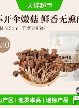 裕庆堂不开伞嫩菇蘑菇广昌茶树菇