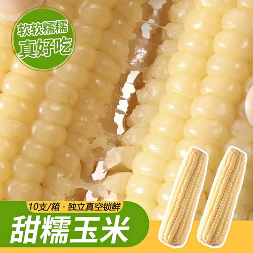 东北白糯玉米真空装新货现摘农家自种新鲜甜糯玉米棒速食粗粮