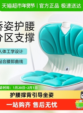 BKT护腰坐垫椅腰靠护腰靠垫办公室靠背垫久坐神器腰部垫腰枕靠腰