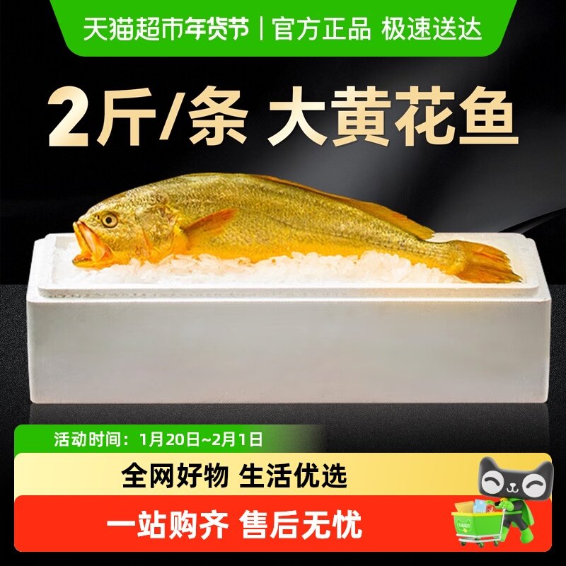 云储生活特大黄花鱼深海冷冻黄瓜鱼宁德海鱼新鲜冷冻大黄鱼,水产肉类/新鲜蔬果/熟食,黄鱼,淘宝优惠券,粉丝福利购,淘宝优惠卷