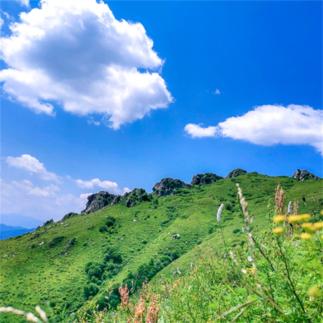 东灵山一日游张家口