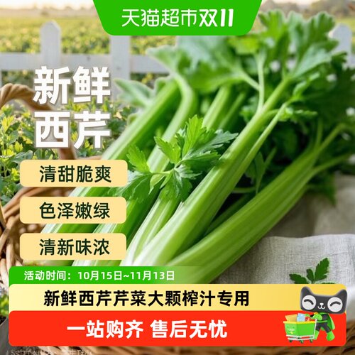 胡鲜森寿光西芹新鲜榨汁专用