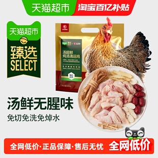 【臻选】天农清远鸡五指毛桃玉竹汤超鲜炖汤800g慢养土鸡火锅锅底