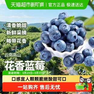 云南高原花香蓝莓新鲜水果当季 整箱鲜果现摘