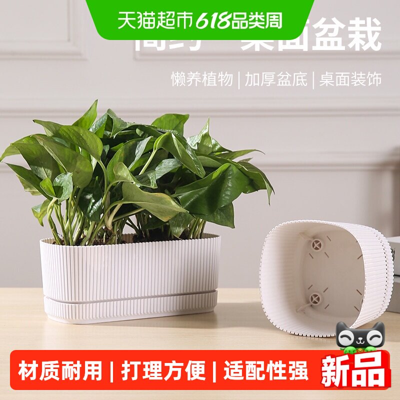 北欧简约带底盘花盆家用加厚耐用多肉绿植小盆栽花盆直筒种植盆