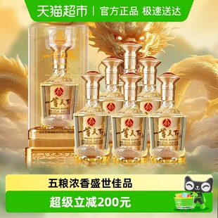 五粮液股份出品一尊天下盛世佳品52度浓香型白酒整箱含礼袋