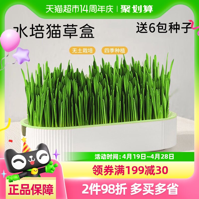 è������С����������������ˮ�໯ë��è���������ֺ���è����ʳ