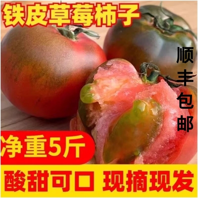 正宗丹东草莓柿子西红柿新鲜碱地铁皮柿子自然熟生吃水果番茄顺丰