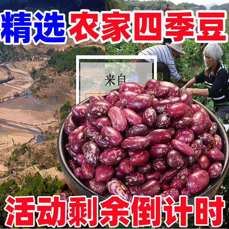 贵州红花四季豆花芸豆贵州酸菜豆汤原料5斤/10斤便宜批发