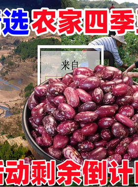 贵州红花四季豆花芸豆贵州酸菜豆汤原料5斤/10斤便宜批发